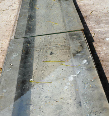 “Dấu rồng” bí ẩn dưới đáy ao và trên sân đình